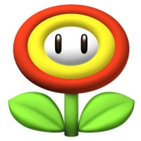 300px-nsmb-fire-flower