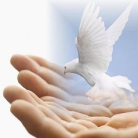 your_hand_with_dove